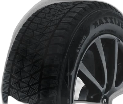 Bridgestone Blizzak DM-V2