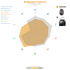 Bridgestone Turanza 6 Miniatuur 1200x1200