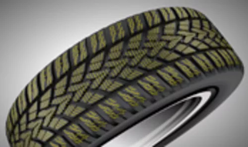 Dunlop SP Winter Response 2 Miniatuur 174x103