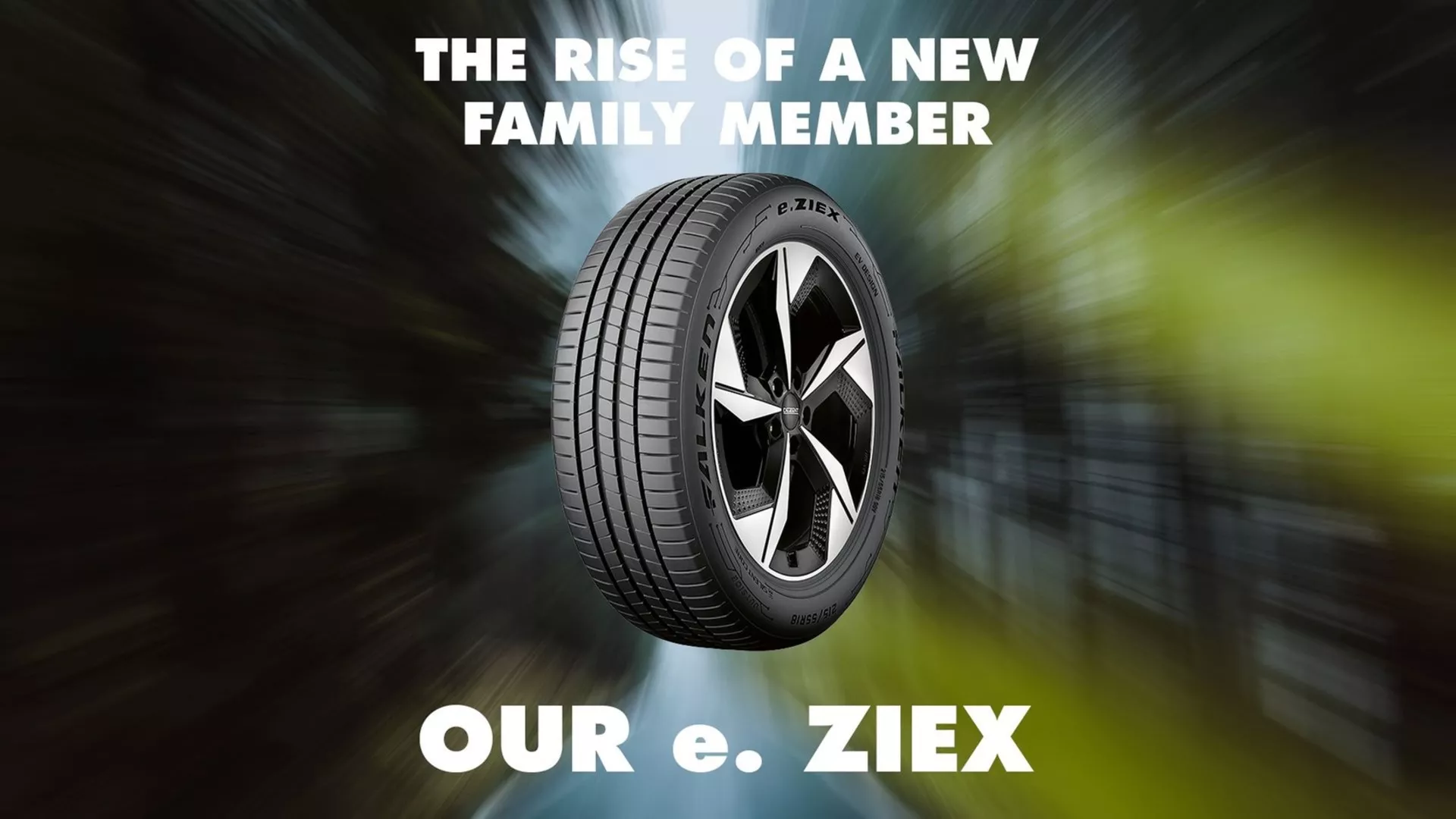 Falken e.Ziex Afbeelding